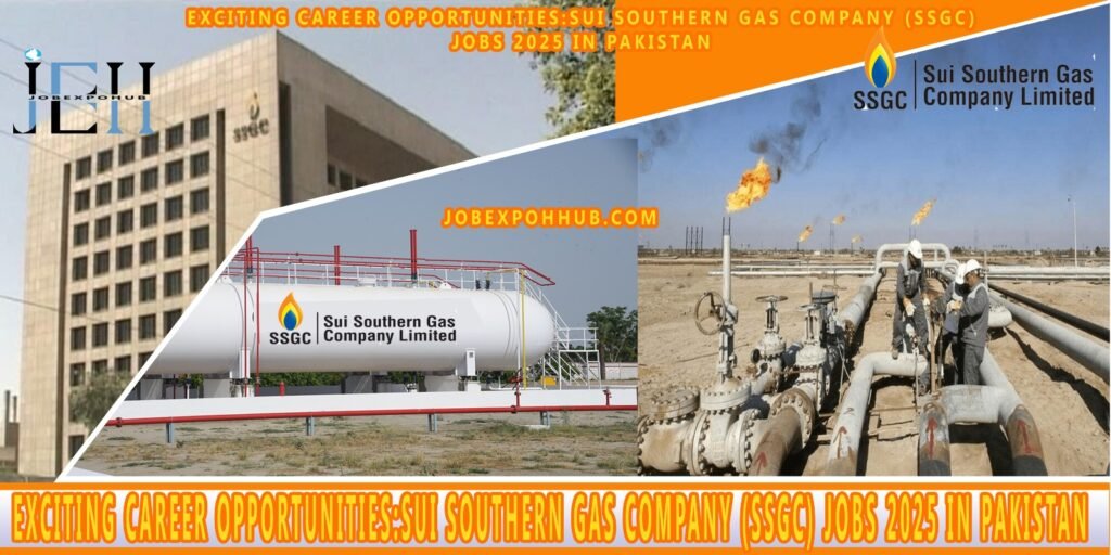 sui southern gas company job in 2025 image with my logo