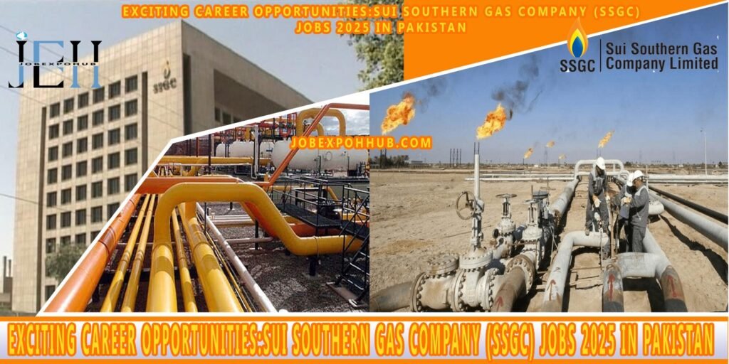 sui southern gas company job in 2025 image with my logo