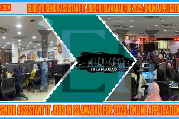 This image is about Guide to Senior Assistant IT Jobs in Islamabad for 2025: Online Application Process with my web logo