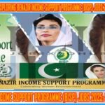 This image is about Exploring Benazir Income Support Programme (BISP) Jobs 2025: How to Apply Online with my web logo