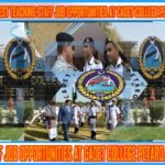 This image is about Latest Teaching Staff Job Opportunities at Cadet College Petaro: 2025 Advertisement with my web logo