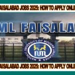 This image is about Exploring NUML Faisalabad Jobs 2025: How to Apply Online from Pakistan with my web logo