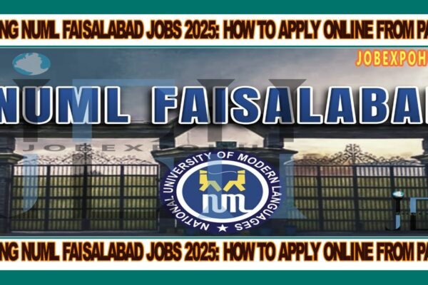 This image is about Exploring NUML Faisalabad Jobs 2025: How to Apply Online from Pakistan with my web logo