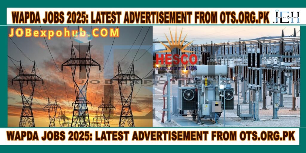 This image is on wapda jobs 2025 advertisement from ots with my web logo