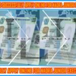 This image is about How to Successfully Apply Online for NADRA Junior Executive Jobs in 2025 with my web logo